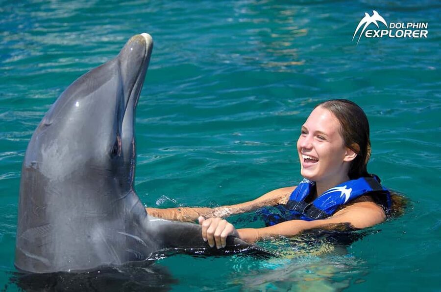Punta Cana Dolphin Adventure: 40-Minute Interaction - Family Rules That Can Change Your Total Cost