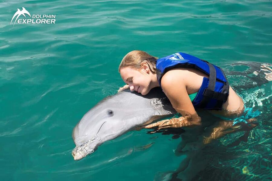 Punta Cana Dolphin Adventure: 40-Minute Interaction - Who Will Enjoy This Most
