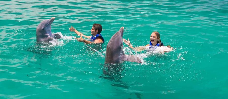 Punta Cana Dolphin Adventure: 40-Minute Interaction - Booking Flexibility Helps With Resort Plans
