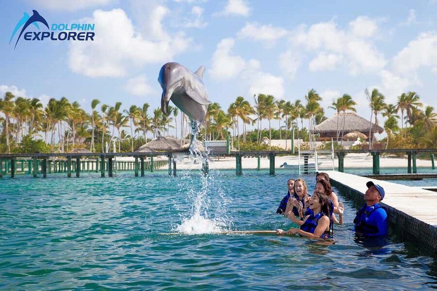 Punta Cana Dolphin Adventure: 40-Minute Interaction - The Trainer Briefing Comes Before the Water Time