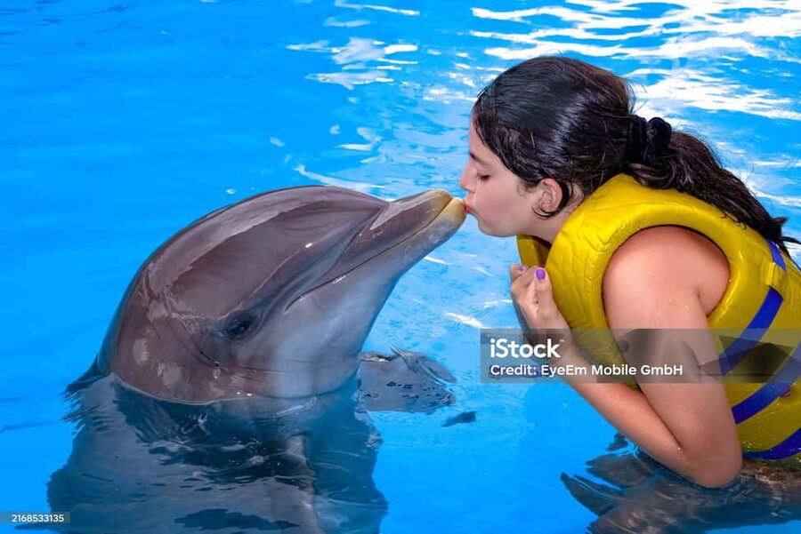 Punta Cana: Dolphin Explorer Park Entry, Swim, or Encounter - Should you book this dolphin experience?