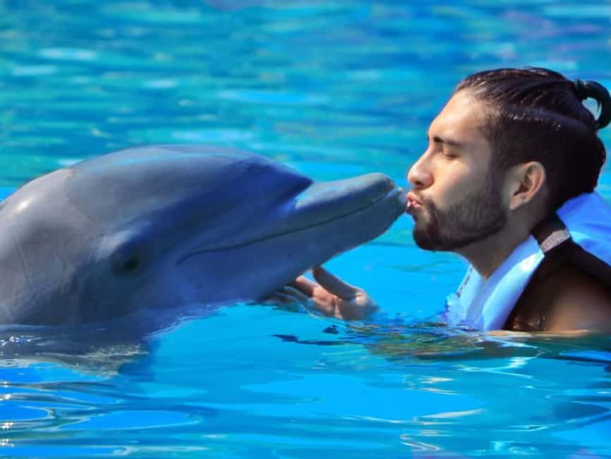 Punta Cana: Dolphin Explorer Park Entry, Swim, or Encounter - What happens during the one-hour session