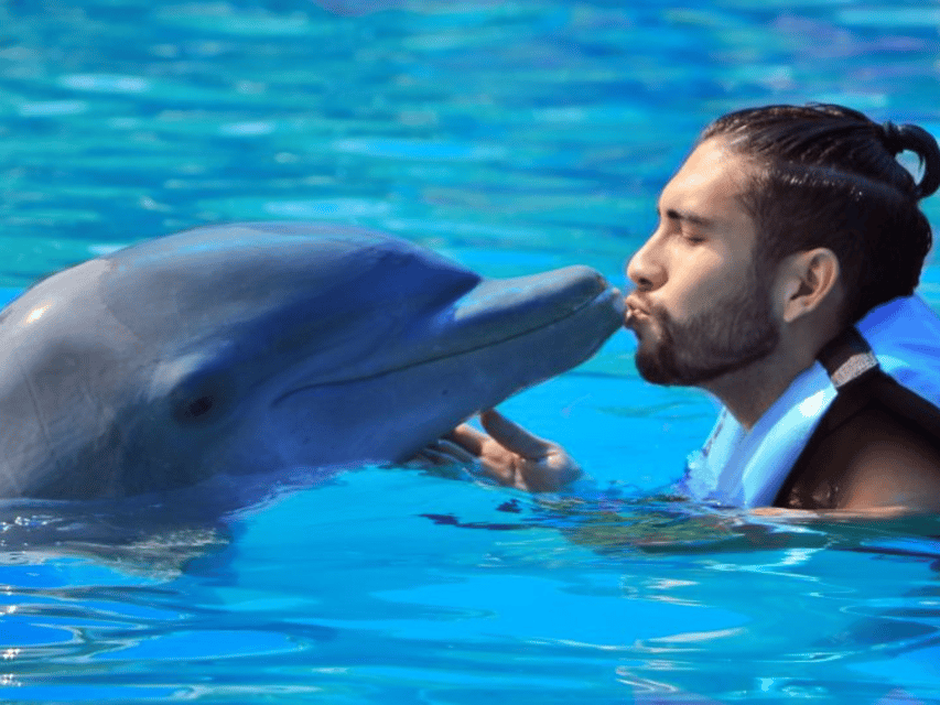 Punta Cana: Dolphin Explorer Park Entry, Swim, or Encounter - Transport is the part to organize carefully