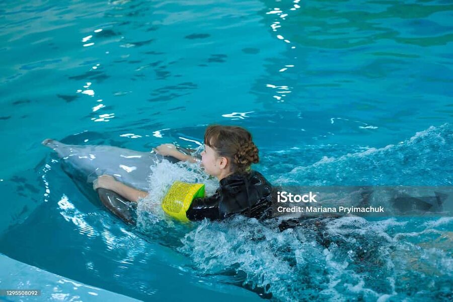 Punta Cana: Dolphin Explorer Park Entry, Swim, or Encounter - Is $140 a fair price?