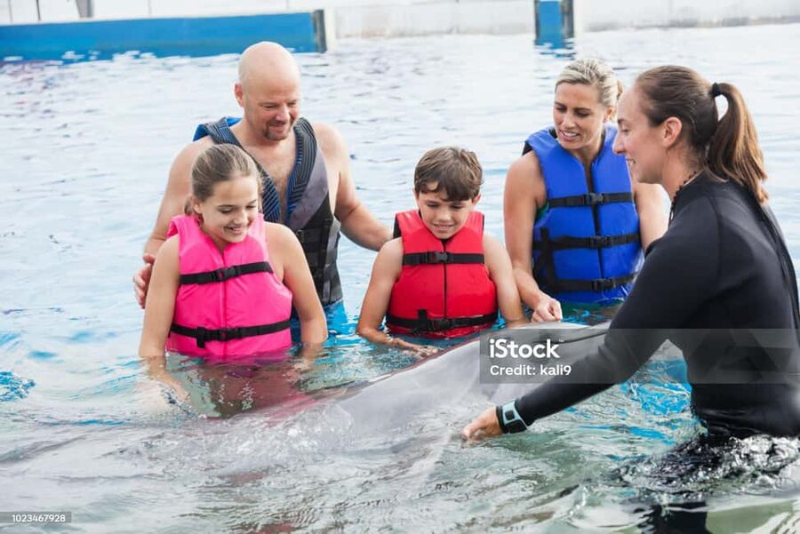 Punta Cana: Dolphin Explorer Park Entry, Swim, or Encounter - Who will enjoy this most?
