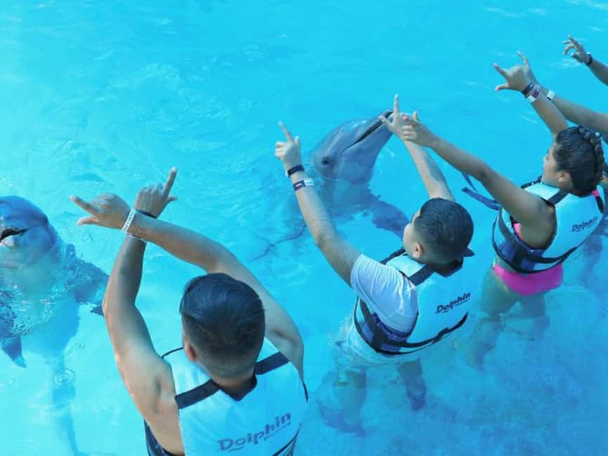 Punta Cana: Dolphin Explorer Park Entry, Swim, or Encounter - Comparing the three dolphin options
