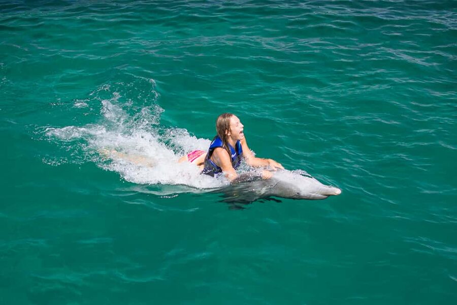 Punta Cana: Dolphin Explorer Swims and Interactions - The Funtastic Dolphin Encounter: shorter but still personal