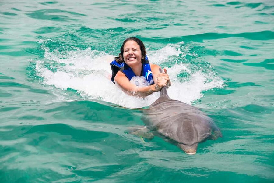 Punta Cana: Dolphin Explorer Swims and Interactions - The photo policy deserves serious attention