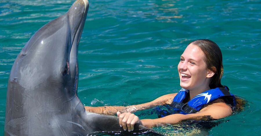 Punta Cana: Dolphin Explorer Swims and Interactions - Is $120 a fair price?