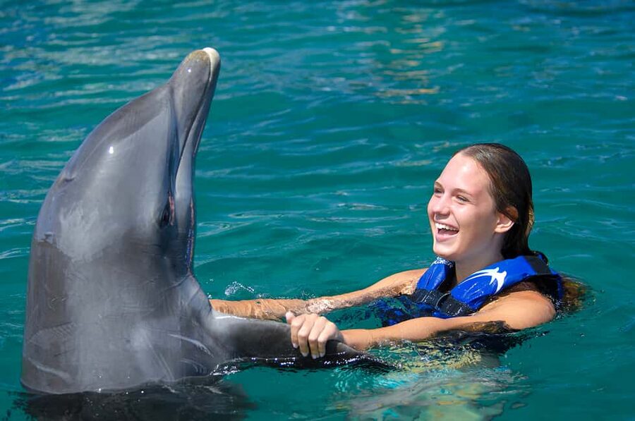 Punta Cana: Dolphin Explorer Swims and Interactions - The conservation talk adds useful context