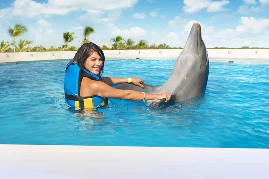 Punta Cana: Dolphin Interaction Experience & Hotel Transfers - Meeting dolphins at a purpose-built park