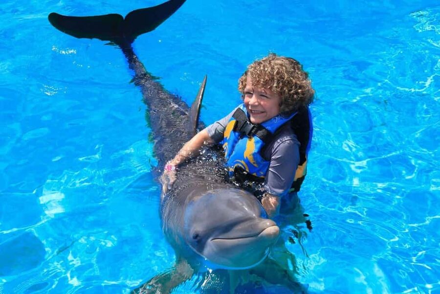 Punta Cana: Dolphin Interaction Experience & Hotel Transfers - What the four-hour visit is likely to feel like