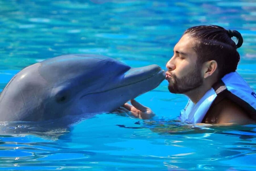 Punta Cana: Dolphin Interaction Experience & Hotel Transfers - Is $140 a fair value?