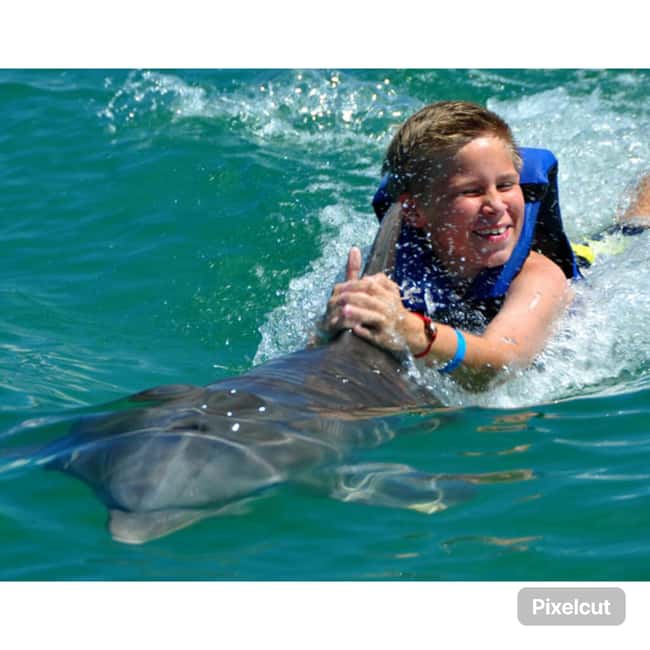 Punta Cana: Dolphin Park Entry and Swim with Dolphins - Key points to know before booking