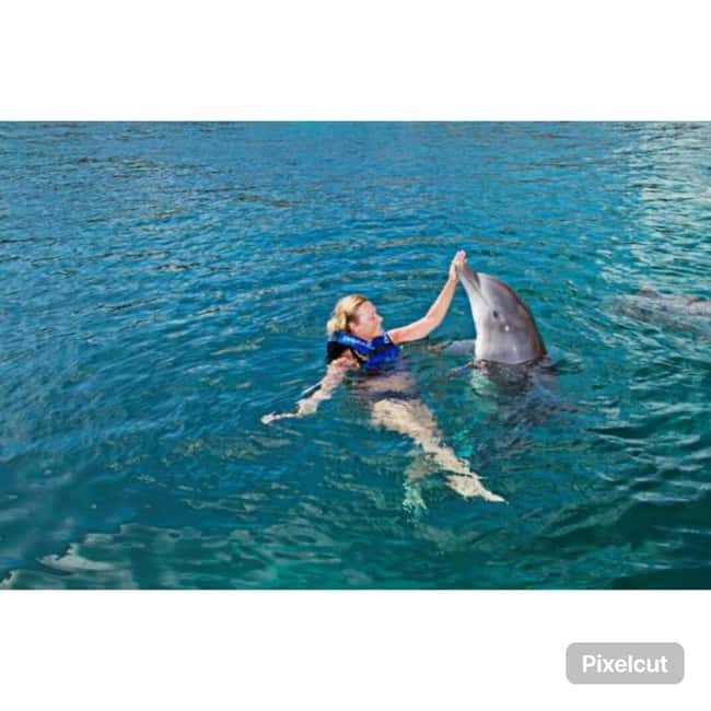 Punta Cana: Dolphin Park Entry and Swim with Dolphins - What the Punta Cana dolphin park experience is really like