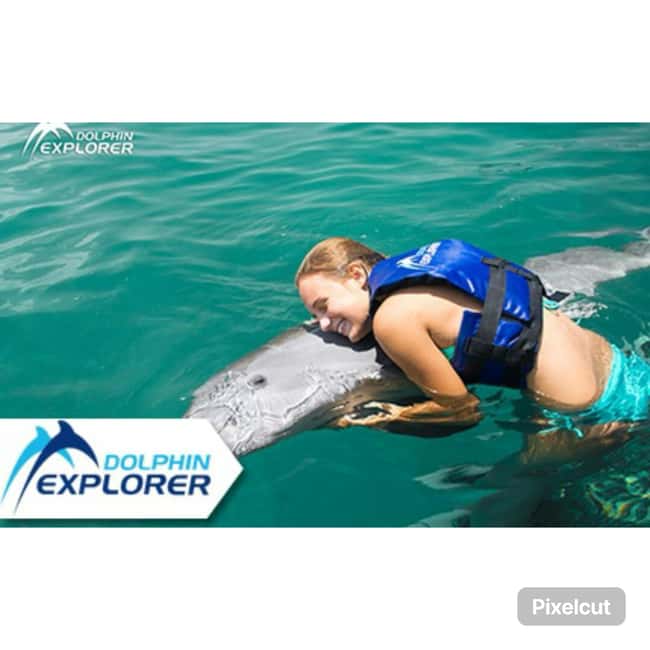 Punta Cana: Dolphin Park Entry and Swim with Dolphins - The opening orientation and safety briefing