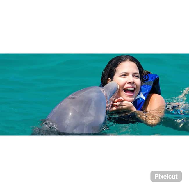 Punta Cana: Dolphin Park Entry and Swim with Dolphins - Getting from your hotel to the park