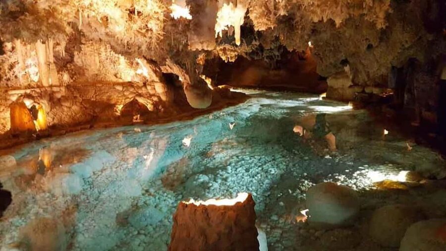 Punta Cana: Dominican Flavors Guided Day Trip - Key points to know before booking