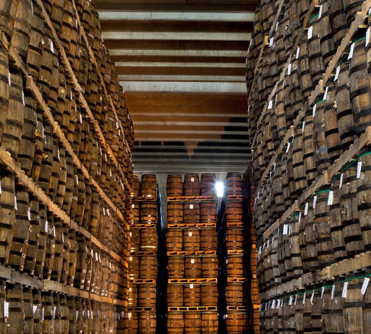 Punta Cana: Dominican Flavors Guided Day Trip - Chocopunto: a clear look at chocolate production