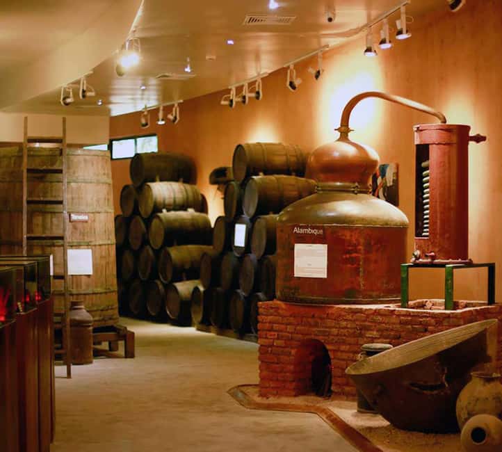 Punta Cana: Dominican Flavors Guided Day Trip - Barceló Rum Historic Center in San Pedro de Macorís