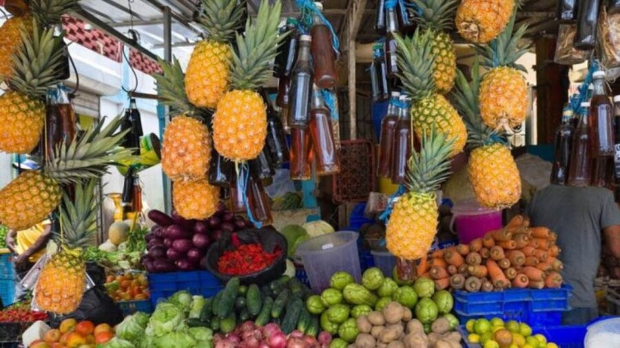 Punta Cana: Dominican Republic Culture Tour - Small group or open truck?