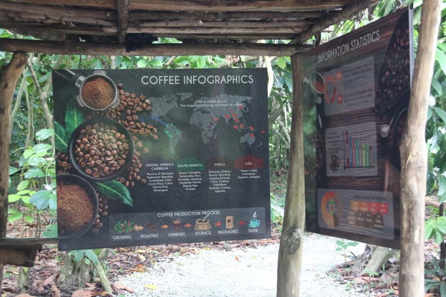 Punta Cana E-bike tour: Macao, El Salado, Ceiba, El Caño - Why this bike route shows you more than Punta Cana resorts