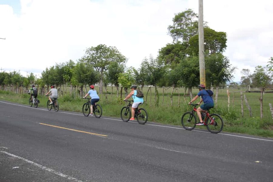 Punta Cana E-bike tour: Macao, El Salado, Ceiba, El Caño - Group size, guides, and the pace of the outing