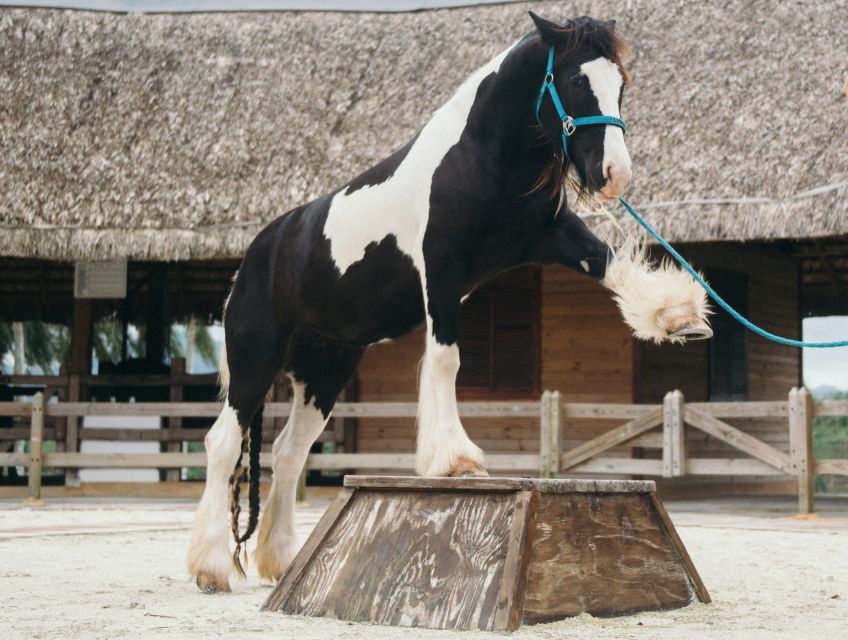 Punta Cana: Eco Park Safari Adventure - The lookout over Nisibon, Maimon River, and the hills