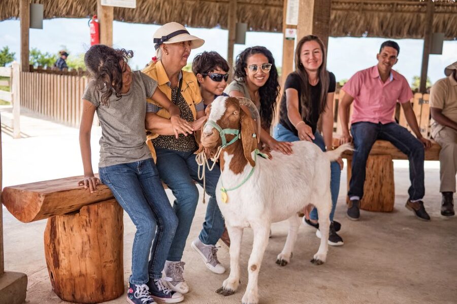 Punta Cana: Eco Park Safari Adventure - A short boat ride with local birds