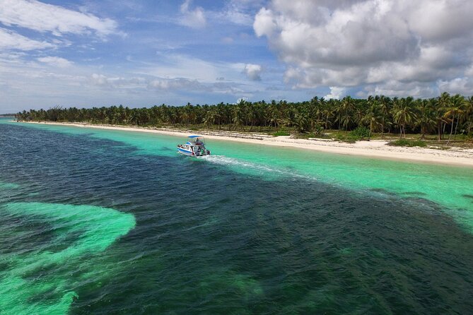 Punta Cana Exclusive Adults-Only Snorkel with Food and Drinks - The coral nursery at Cabeza de Toro