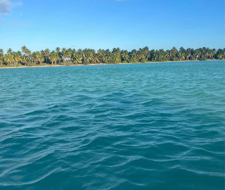 Punta Cana: Exclusive Private Catamaran Tour to Saona Island – VIP Service - A Dominican lunch by the water