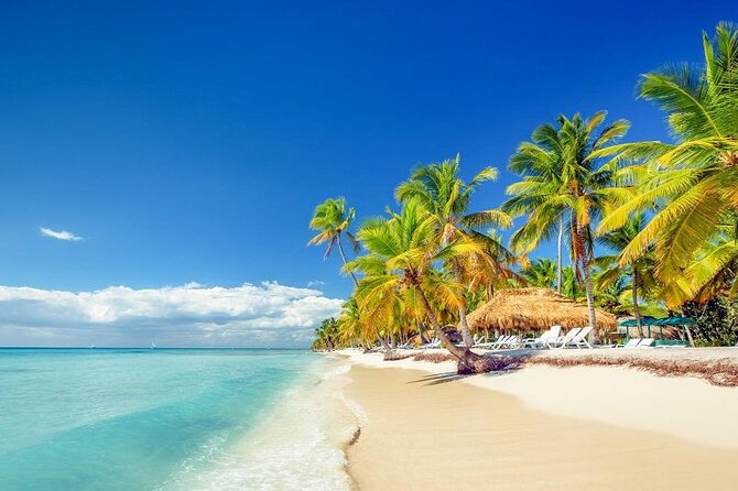 Punta Cana:Exclusive Private Tours for Groups of Up to 7 People - What the $1,700 Price Means