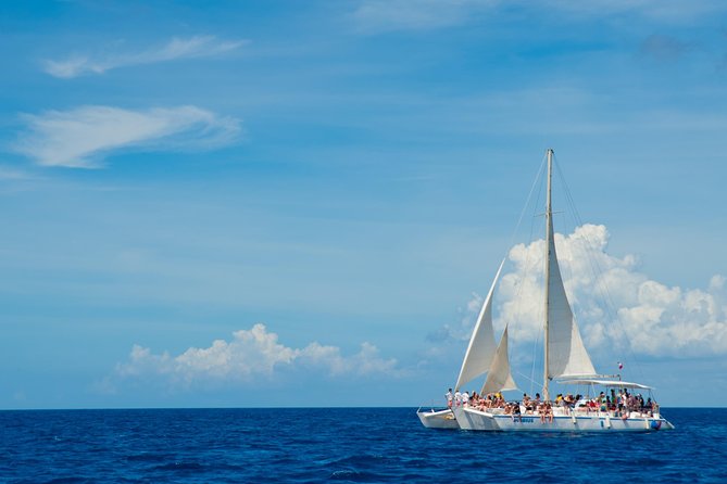 Punta Cana:Exclusive Private Tours for Groups of Up to 7 People - Who Will Like This Day Most