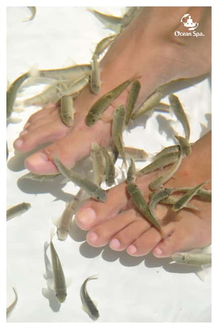 Punta Cana Floating Ocean Spa Experience with Massage & Yoga - Electronic ionization machines and sensible expectations