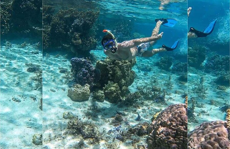 Punta Cana: Full-day Snorkelling Tour in Catalina Island - The early Punta Cana pickup and road to La Romana