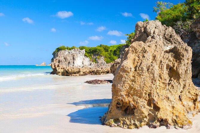 Punta Cana Guided Buggy Adventure Tour - What the $45 price includes