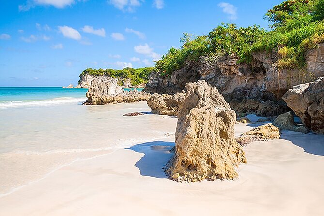 Punta Cana Half-Day Cultural Safari with Lunch and Drinks - Macao Beach as the final change of pace