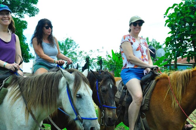 Punta Cana Half-Day Cultural Safari with Lunch and Drinks - Is $74 a fair price?