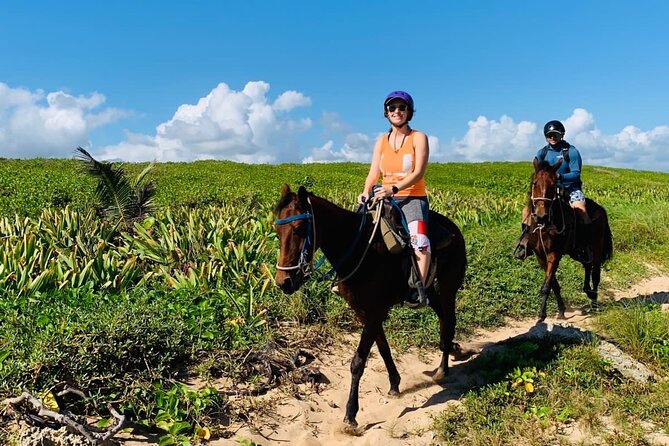 Punta Cana Horseback Ride: Jungle, Macao Beach & Free Pick Up - Is $36 a good value?