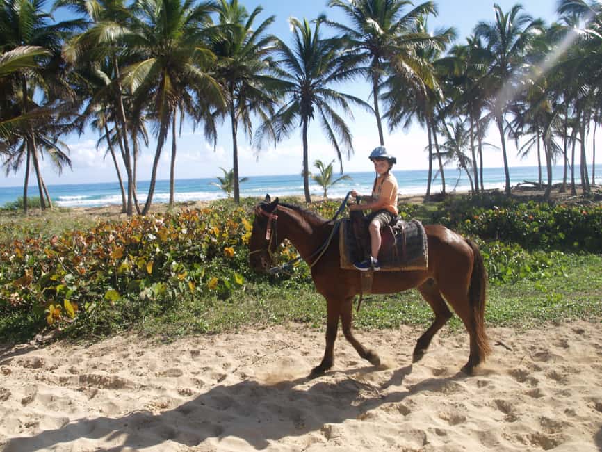 Punta Cana: Horseback Ride to Macao Beach - A short safety briefing before the ride