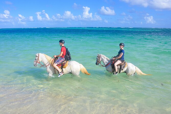 Punta Cana Horseback Riding Adventure - From your Punta Cana hotel to the stable