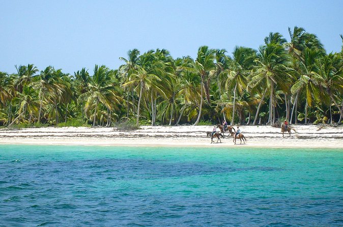 Punta Cana Horseback Riding Adventure - What the $60 price covers