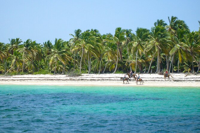 Punta Cana Horseback Riding Adventure - Who should book this ride