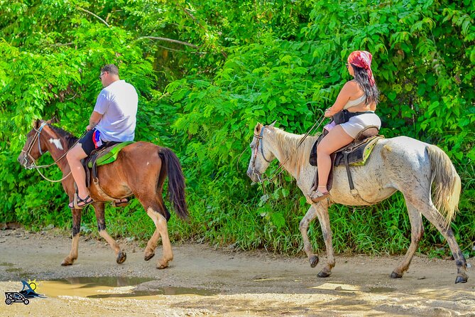 Punta Cana Horseback Riding Adventure on Macao Beach - What the $50 price covers
