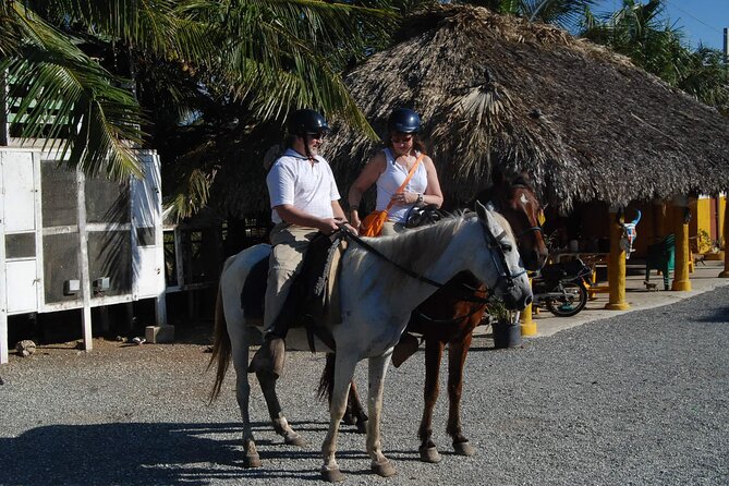 Punta Cana Horseback Riding on the Beach - Riding from the stables to the Punta Cana coast