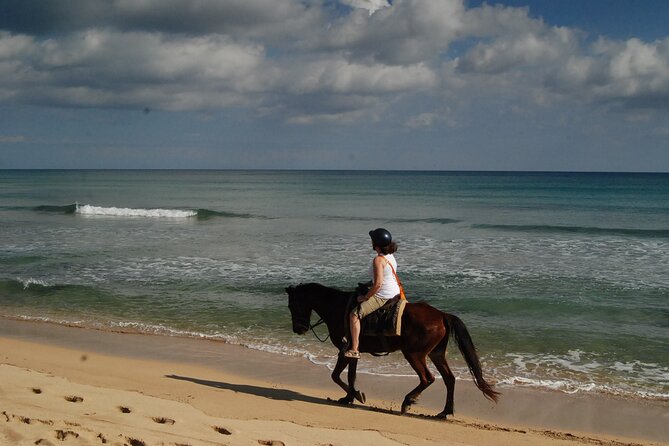 Punta Cana Horseback Riding on the Beach - A fresh coconut, photos, and the small extra costs