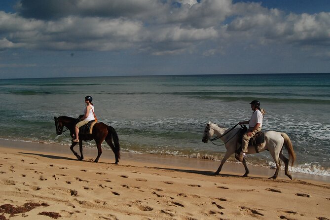 Punta Cana Horseback Riding on the Beach - Is $75 a fair price for two hours?