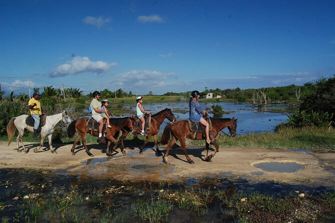 Punta Cana Horseback Riding on the Beach - Practical preparation for a smoother morning
