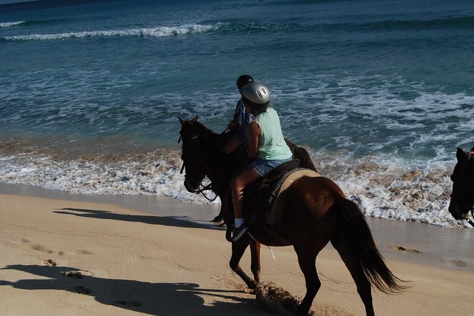 Punta Cana Horseback Riding on the Beach - What the 4.2 rating tells you