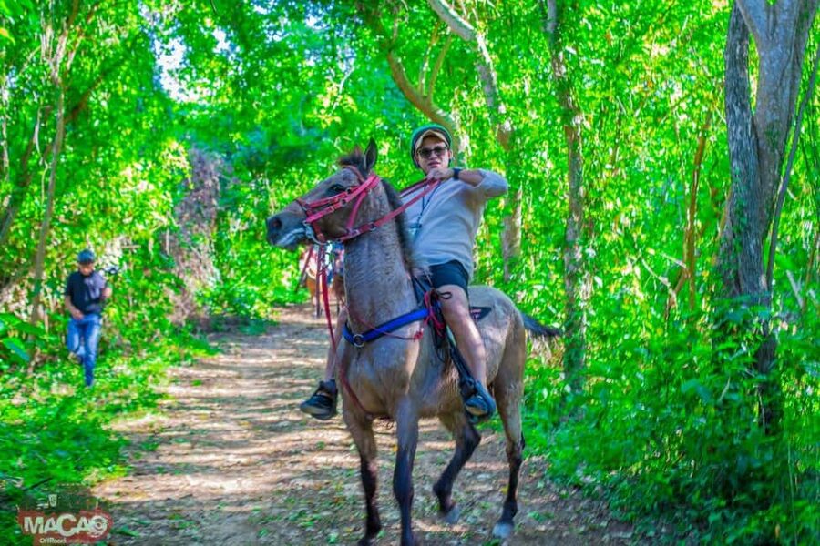 Punta Cana Horseback riding & Sunset + beach + free pick-up - Key points to know before you book